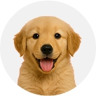 Balja Profile Image