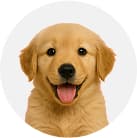 Balja Profile Image
